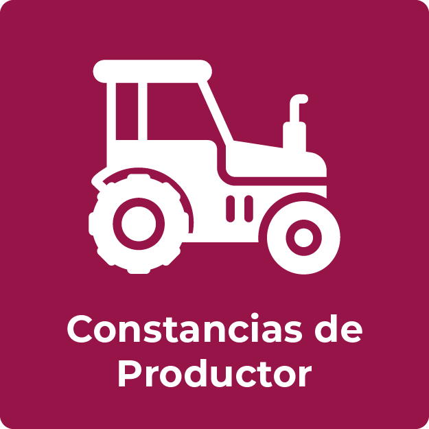 btn_productor.png